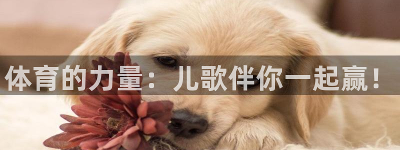 利记官方正版app集团简介:体育的力量:儿歌伴你一起赢!