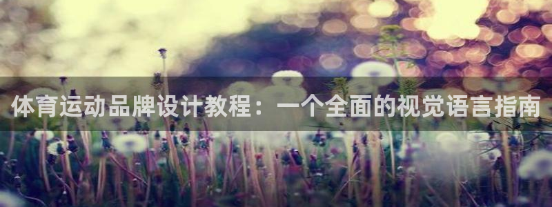 利记官网下载平台注册:体育运动品牌设计教程:一个全面的视觉语